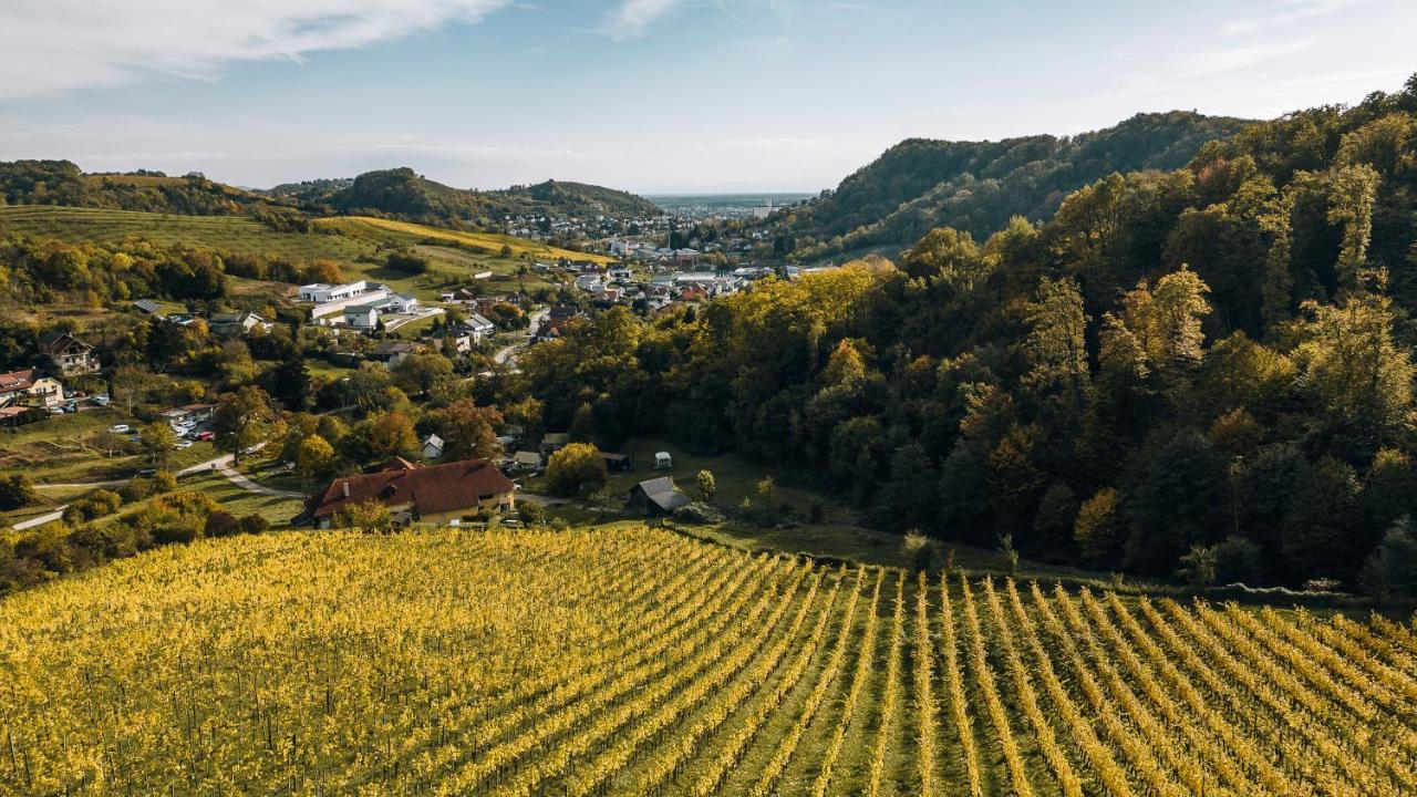 Luxury Vineyard Resort Chateau Ramsak Maribor Exterior photo